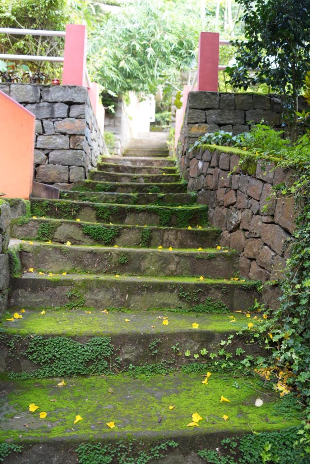 Ghar Homestay, โกตากิริ ภายนอก รูปภาพ